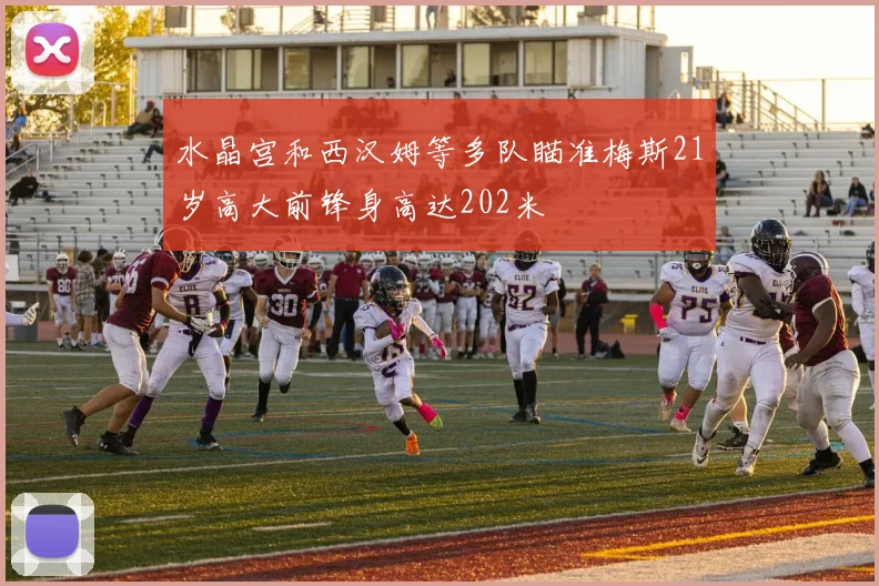 水晶宫和西汉姆等多队瞄准梅斯21岁高大前锋身高达202米