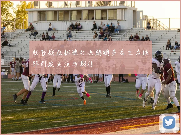 收官战森林狼对决鹈鹕多名主力缺阵引发关注与期待